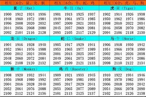 2002年 生肖|2002 年出生属什么生肖